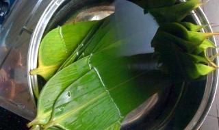 粽叶煮的时长 粽叶怎么煮才软又绿
