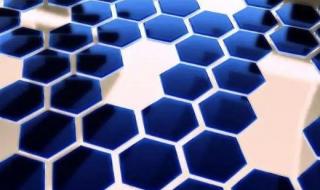 人们从动物身上得到的启示