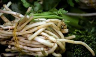 水果蔬菜连连看下载 水果蔬菜连连看下载