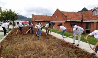 贵州大红枫大棚秋棚 贵州大红枫大棚秋棚