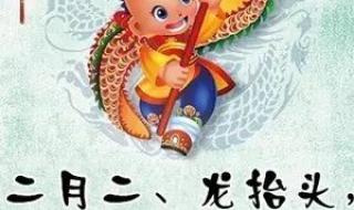 家有属龙二月二注意啥 家有属龙二月二注意啥