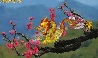 家有属龙二月二注意啥 家有属龙二月二注意啥